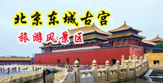 啊～好爽呀鸡巴好大视频中国北京-东城古宫旅游风景区